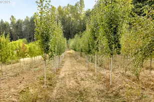 29630 SE Wheeler Rd, Boring, OR 97009 - Photo 39