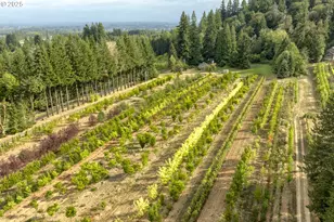 29630 SE Wheeler Rd, Boring, OR 97009 - Photo 47