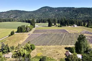 5985 Boneboro Rd, Mount Hood Prkdl, OR 97041 - Photo 3