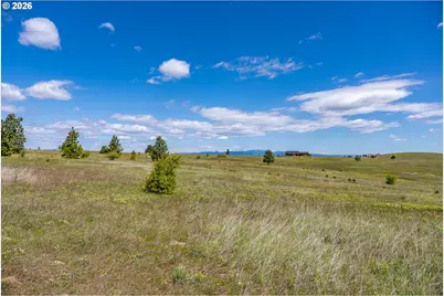 Morris Rd, Lyle, WA 98635 - Photo 29