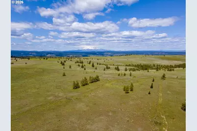 Morris Rd, Lyle, WA 98635 - Photo 39