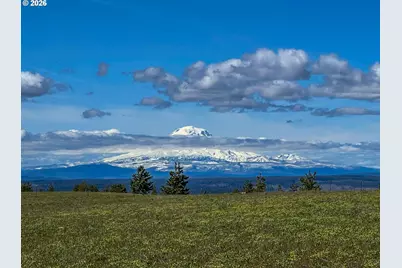 Morris Rd, Lyle, WA 98635 - Photo 45