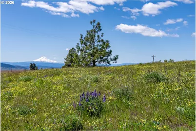 Morris Rd, Lyle, WA 98635 - Photo 27