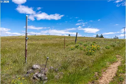 Morris Rd, Lyle, WA 98635 - Photo 25