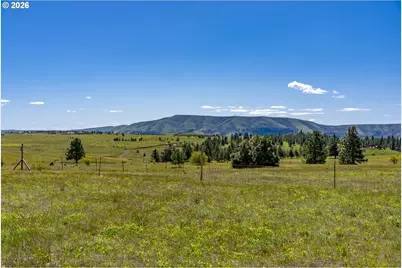 Morris Rd, Lyle, WA 98635 - Photo 11