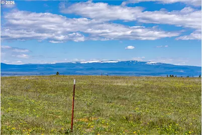 Morris Rd, Lyle, WA 98635 - Photo 15