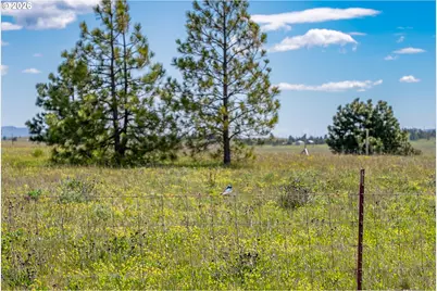 Morris Rd, Lyle, WA 98635 - Photo 19