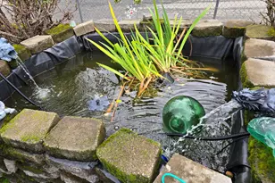 1783 View St, Myrtle Point, OR 97458 - Photo 41