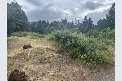 76161 Smolt Ln, Oakridge, OR 97463 - Photo 1