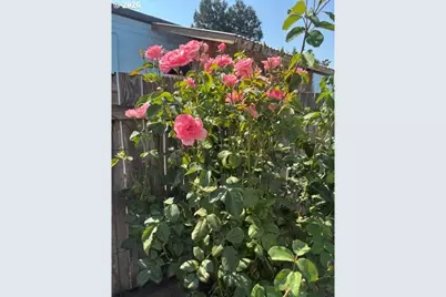 34185 El Roble Ave, Eugene, OR 97405 - Photo 3
