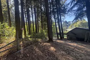 784 Wall St, Husum, WA 98623 - Photo 9
