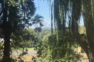 784 Wall St, Husum, WA 98623 - Photo 13