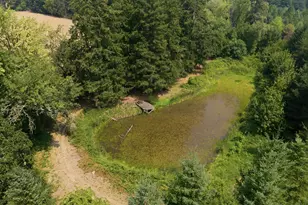 6945 NE Duniway Rd, Dayton, OR 97114 - Photo 37
