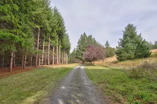 6945 NE Duniway Rd, Dayton, OR 97114 - Photo 3