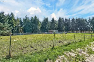 1023 Spirit Lake Hwy, Castle Rock, WA 98611 - Photo 31