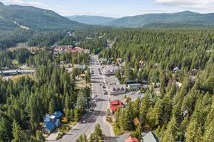 88887 E Government Camp Loop, Government Camp, OR 97028 - Photo 13