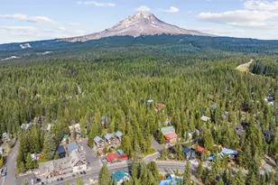 88887 E Government Camp Loop, Government Camp, OR 97028 - Photo 23