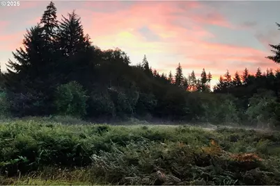 South Valley Ln #5, Naselle, WA 98638 - Photo 7