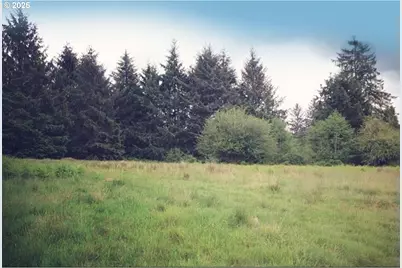 South Valley Ln #5, Naselle, WA 98638 - Photo 5