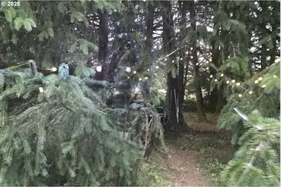 South Valley Ln #5, Naselle, WA 98638 - Photo 9