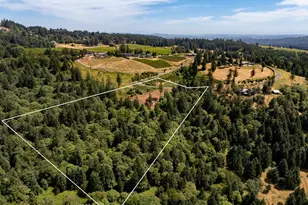 30540 NE Bell Rd, Newberg, OR 97132 - Photo 1