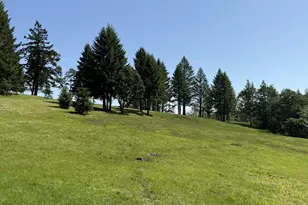 11890 SW Dupee Valley Rd, McMinnville, OR 97128 - Photo 45