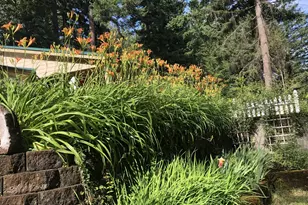 49400 Eagle Rock Pl, Vida, OR 97488 - Photo 29