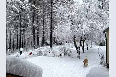 49400 Eagle Rock Pl, Vida, OR 97488 - Photo 45