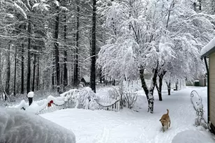 49400 Eagle Rock Pl, Vida, OR 97488 - Photo 45