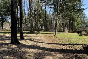 49400 Eagle Rock Pl, Vida, OR 97488 - Photo 33