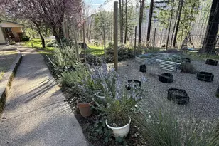 49400 Eagle Rock Pl, Vida, OR 97488 - Photo 3