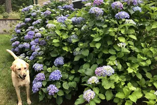 49400 Eagle Rock Pl, Vida, OR 97488 - Photo 39