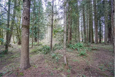 15614 NW 11th Ave, Vancouver, WA 98685 - Photo 35