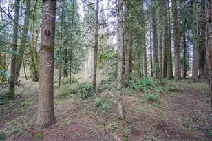 15614 NW 11th Ave, Vancouver, WA 98685 - Photo 35