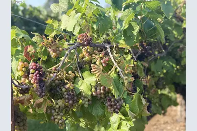 18076 SW Alvord Ln, Beaverton, OR 97007 - Photo 21