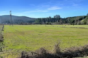 Upper Camp Creek Rd, Springfield, OR 97478 - Photo 21