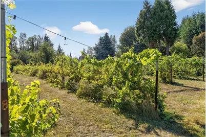 32102 NW Eagle Crest Dr, Ridgefield, WA 98642 - Photo 3