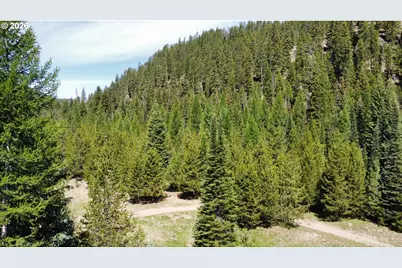 42000 Clear Creek Rd, Granite, OR 97877 - Photo 7