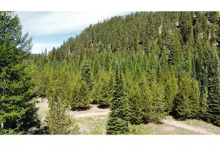 42000 Clear Crk Rd, Granite, OR 97877 - Photo 7