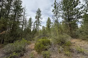 Oriole Dr, Bonanza, OR 97623 - Photo 1