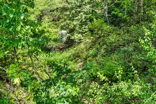 19395 Rust Rd, Blachly, OR 97412 - Photo 47