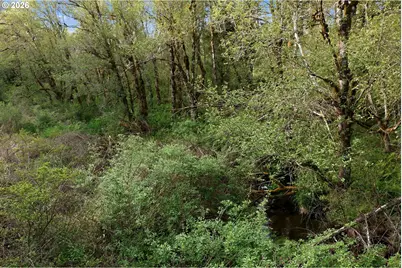 Parcel 231793000, Yacolt, WA 98675 - Photo 9