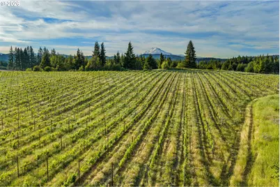 319 Bates Rd, White Salmon, WA 98672 - Photo 39