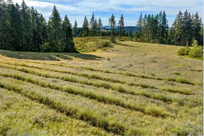 319 Bates Rd, White Salmon, WA 98672 - Photo 43