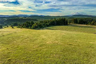 319 Bates Rd, White Salmon, WA 98672 - Photo 45