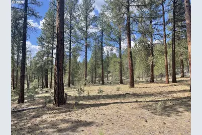 Tableland Rd #700, Chiloquin, OR 97624 - Photo 7