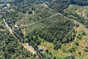 670 Old Homestead Rd, Oakland, OR 97462 - Photo 45