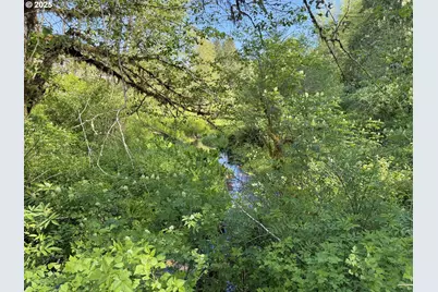 73000 Clatskanie Heights Rd, Clatskanie, OR 97016 - Photo 21