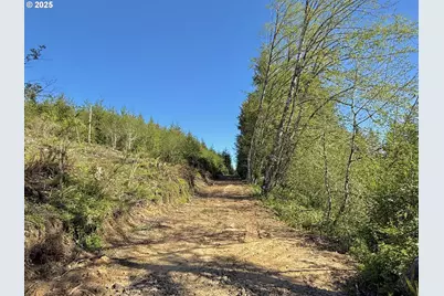 73000 Clatskanie Heights Rd, Clatskanie, OR 97016 - Photo 15