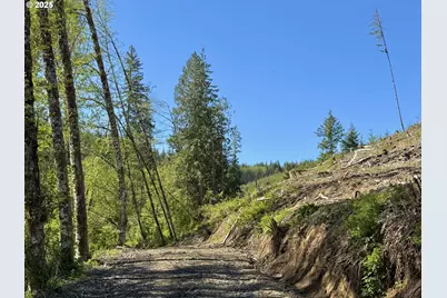 73000 Clatskanie Heights Rd, Clatskanie, OR 97016 - Photo 3